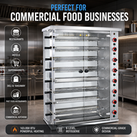 Rôtissoire Commerciale Double Alimentation Gaz-Électrique, Capacité 48 Poulets, 8 Brochettes, Acier Inoxydable 304