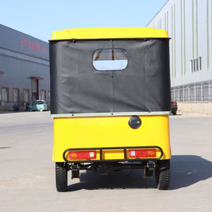 Triciclo Motorizado de Gasolina de Última Generación Bajaj, el Mejor Triciclo de 3 Ruedas con Motor de Gasolina para Adultos - Product Image 5
