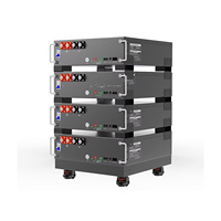SINOSUN LiFePO4 24V/48V 100-300Ah 15.36kWh Baterai Lithium Rak-Pasang Sistem Penyimpanan Energi Surya 6000 Siklus 5 Tahun