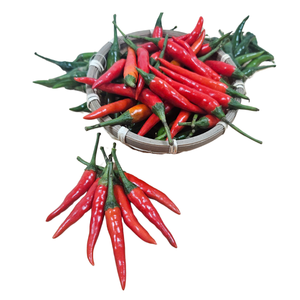 พริกสดพริกไทยแดงเครื่องเทศเอเชียทนทานผลิตจากเวียดนามขายส่ง - Product Image 3