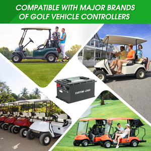 <b>48V</b> 105Ah Golf Cart Solar System Lifepo4 <b>Battery</b> Pack Lithium Iron <b>Battery</b> 51.2V 1054Ah for Marine <b>Battery</b> - Product Image 6