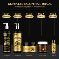 Coffret Cadeau Professionnel OEM Huile de Batana Soin Capillaire Luxe Parfum Longue Durée Shampoing et Après-Shampoing pour Cheveux Secs et Abîmés