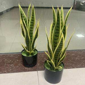50cm 16 <span class=keywords><strong>hojas</strong></span> bonsái serpiente planta plástico borde amarillo serpiente artificial planta - Product Image 5