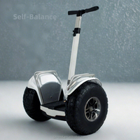 Fabrikpreis Mobilitäts-Transporter Fatbike Elektro-Segway-Roller Doppelmotor 3000W Leistung Offroad-Roller mit Aluminiumlegierung