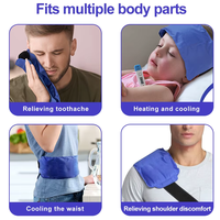 Ceinture de thérapie par le froid pour le soulagement des douleurs dorsales, compresse froide, coussin chauffant lombaire pour le bas du dos