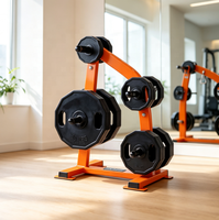 Support de rangement commercial en acier robuste pour plaques de poids et barres d'haltères, accessoires de fitness