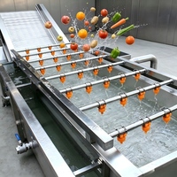 Máquina Automática de Lavar Frutas e Vegetais em Aço Inoxidável 304 para Linha de Processamento de Batata Frita