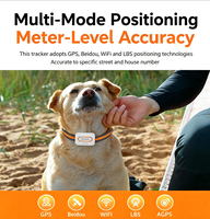 Traceur GPS intelligent 4G pour animaux de compagnie, étanche, suivi en temps réel, localisateur GPS pour chien avec interphone vocal pour grands chiens, chasse, vente en gros