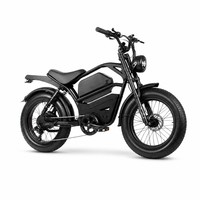 Vélo électrique 750W 48V 15AH 20x4.0 Noir Rouge Style Sportif Cadre en Acier Carbone Haute Performance pour Journées sur Piste