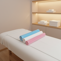 Draps de lit non tissés jetables hygiéniques en polyester 100% imperméables et légers pour une utilisation en spa et en salon de beauté