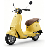 Moto électrique SIGOTECH OEM 1000W avec chargeur, 45 km/h, pour 2 personnes