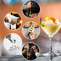 Ensemble de bar à cocktails Martini de qualité supérieure en acier inoxydable moderne, 14 pièces, avec support en bambou, capacité de 750 ml, kit de barman