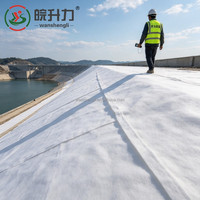 Géotextile WSL antidérapant à filament continu pour la rétention des sols, travaux anti-éboulement pour routes, montagnes et pentes de vallées