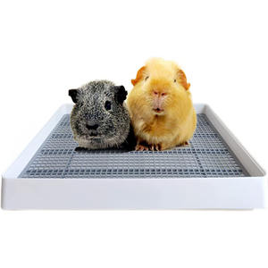 Fournitures pour petits animaux : <span class=keywords><strong>Bac</strong></span> d'entraînement, cage, plateau de toilette, <span class=keywords><strong>bac</strong></span> à litière pour rats, hamsters, furets, cochons d'Inde et lapins - Product Image 1