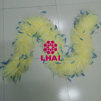 Haute qualité Boas plumes d'autruche écharpe plume pour fête Festival robe tissu Costumes vêtement accessoire spectacle de danse