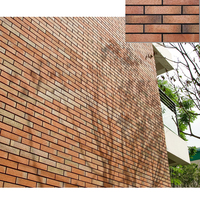 Panneau en argile de feu épais et dense de la chine, briques de mur de brique, briques minces de placage, prix de vente