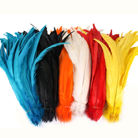 Plumes de Coq en Gros, 14-16 pouces, Couleurs Assorties, pour Artisanat DIY, Décorations de Costumes de Carnaval et de Festival Samba, Plumes de Coque