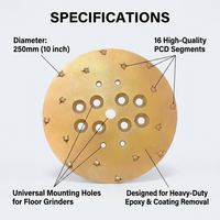 Plaque de meulage diamantée PCD de 250 mm (10 pouces) à 16 segments pour machine à meuler les sols, disque de décapage de peinture époxy pour revêtements de sol