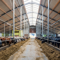 Bâtiment Agricole Moderne Certifié CE CWB en Structure Acier Préfabriquée pour Ferme et Hangar à Volailles/Élevage