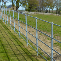 Barandilla de Jardín de Acero Plano Fácil de Instalar, Valla Económica de Estilo Británico, Valla Decorativa para Propiedades