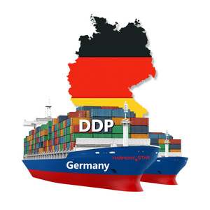 Trasporto Marittimo DDP FCL Agente di Spedizioni per Europa, Stati Uniti, Brasile - Product Image 2
