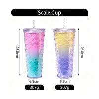Gobelet de voyage en plastique à double paroi givré de 24 oz pour l'extérieur avec couvercle et paille, motif écailles de sirène