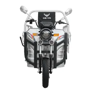 Popular Three rad motorrad Cargo dreirad 3 rädern öffnen motorrad mit günstige preis