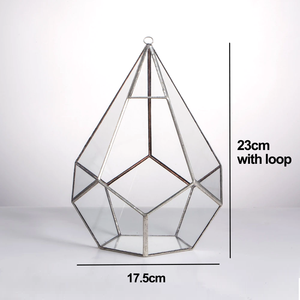Handgemachte kreative Silber Teardrop Form geometrische Glas <span class=keywords><strong>Terrarium</strong></span> für saftige Moos Farn Pflanzen Halter Tabletop Display - Product Image 6
