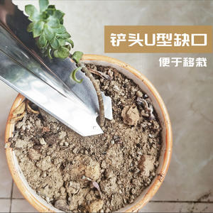 Outil de jardin multifonction Y03 en acier inoxydable : désherbeur, coupe-racines, scie à élaguer, mini pelle pour l'entretien des plantes en extérieur - Product Image 4