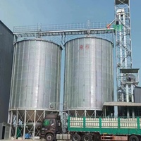 Silo in Acciaio per Stoccaggio di Grano, Mais e Riso, Serbatoio Verticale ad Alta Efficienza, Capacità 50-15000 Tonnellate, Durata 25-40 Anni