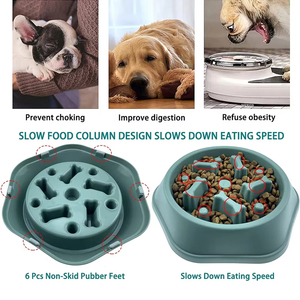 Accessori in plastica Slow Food <span class=keywords><strong>per</strong></span> <span class=keywords><strong>cani</strong></span> <span class=keywords><strong>per</strong></span> animali domestici alimentatori <span class=keywords><strong>per</strong></span> gatti e piccoli animali di alta qualità ciotole e mangiatoie <span class=keywords><strong>per</strong></span> animali domestici - Product Image 4