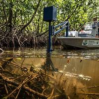 Mini-récolteuse de plantes aquatiques pour l'application du riz, machine de récolte de l'herbe des lacs avec une puissance de tracteur de 1 à 2 CV et une garantie d'un an
