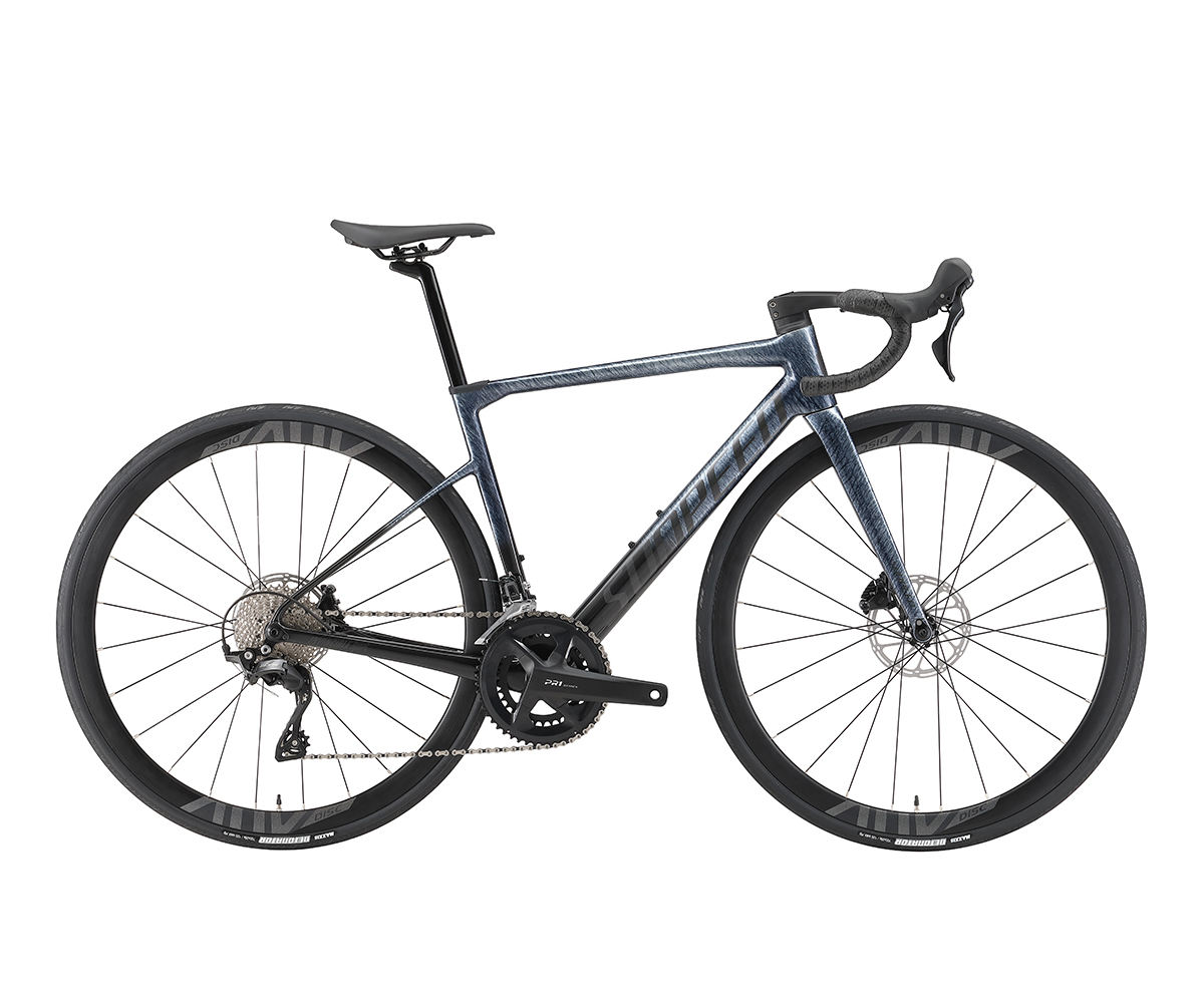 SUNPEEDプロフェッショナルレーシングカーボンファイバーバイク