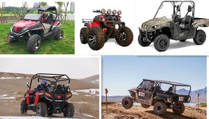 Quad atv 4x4 atv 250cc 4x4, piezas, Motor Bull 125CC 150CC 250cc ATV - Product Image 5