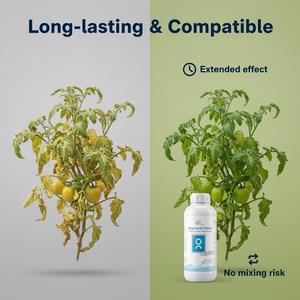 organique de bore de Calcium liquide organique de haute qualité Engrais soluble dans l'eau Engrais de bore de Calcium liquide - Product Image 3