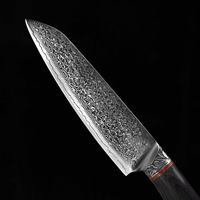 Ensemble de couteaux de cuisine en acier Damas de qualité supérieure, cœur VG10, 67 couches, couteau de chef japonais avec manche en bois noir, embout sculpté à la main, OEM