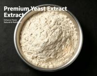 Extrait de levure en poudre de nucléotide autolysé pur en gros, saveur umami naturelle, faible teneur en sodium, qualité alimentaire