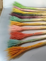 Tiges de blé naturelles séchées et teintes pour la maison, mariage, fête des Mères, Saint-Valentin, remise de diplôme, Pâques, Halloween, Noël, style bohème