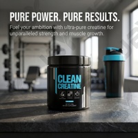 JBY Poudre de créatine OEM à succès – Complément alimentaire pour soutenir l'énergie et améliorer les performances sportives en salle de sport