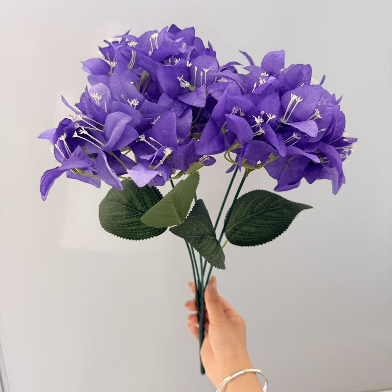 Pourpre