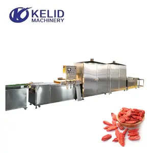 Industrial Dried Fruit Raisin Sterilization Machine Microwave Tunnel Dryer