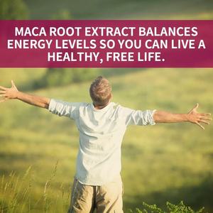 Suplemento de hierbas orgánicas naturales OEM, gomitas de mejora para hombres de 38cm, gomitas de aumento para hombres, gomitas de raíz de Maca negra - Product Image 4