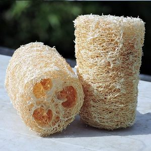 ฟองน้ำทำความสะอาดจาน ทำจากวัตถุดิบธรรมชาติ 100% สำหรับขัดผิวกายและทำความสะอาดในครัว - Product Image 3