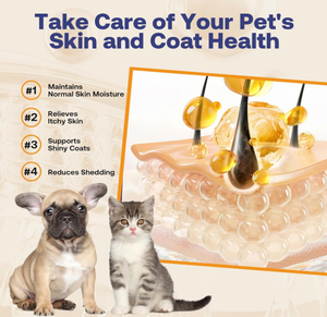 Рыбий жир из дикого аляскинского лосося OEM/ODM для собак и кошек, добавка с Омега-3, EPA и DHA для здоровья кожи, шерсти, суставов и сердца - Product Image 3