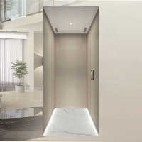 Ascenseurs de villa en acier inoxydable de la série Premium, garantie de 2 ans, système de contrôle intelligent. Capacité personnalisable de 400 kg