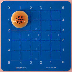 Personnalisé 3D DIY Pain Aimants de Réfrigérateur Alliage Acrylique Décoration de La Maison Souvenir Alimentaire Pizza <span class=keywords><strong>Burger</strong></span> Modèle pour Promotionnel - Product Image 5