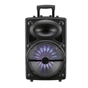 LT-1203 Fabriek Groothandel 12 Inch Draadloze Luidspreker Professionele Audio Stereo Luidspreker Voor Outdoor