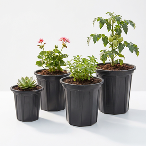 Jardinières en plastique noir avec trous de drainage pour plantes vertes d'intérieur et d'extérieur, design moderne et minimaliste B320 - Product Image 1