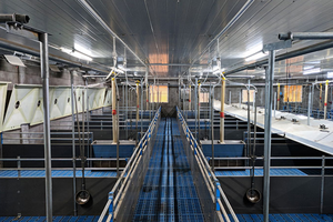 <span class=keywords><strong>Lit</strong></span> de nurserie pour porcelets avec mangeoire double face en acier inoxydable, clôture en PVC galvanisé à chaud et sol en plastique - Product Image 6