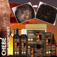 Huile capillaire naturelle biologique avec logo personnalisé kit de soins capillaires en poudre nourrissant hydratant romarin olive gingembre fenugrec huile Chebe